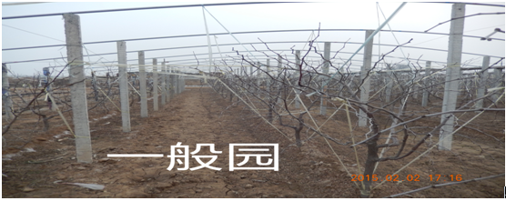 һ԰www.sxdlcoop.com
