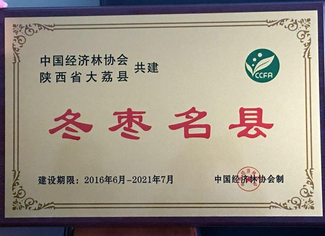 大荔县获冬枣名县称号