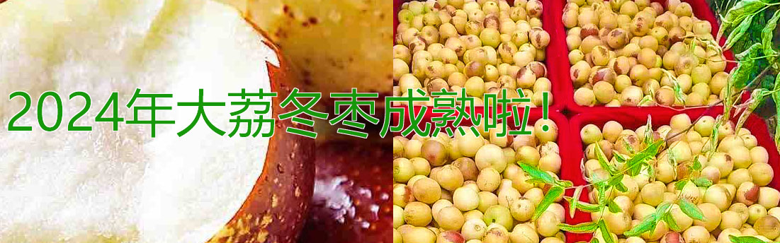 --http://www.sxdlcoop.com