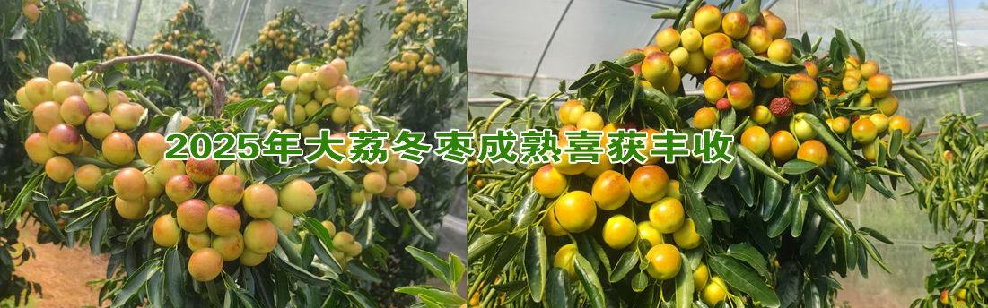 --http://www.sxdlcoop.com